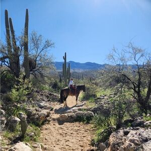 Meet your Posher, Sera